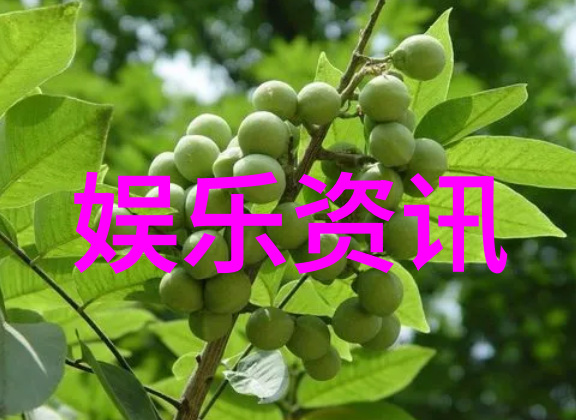 这次单人出行对我的个人成长有哪些潜在的积极影响
