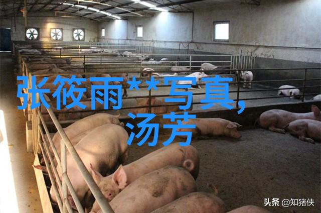 电影观后感我怎么就看了那么多三级电影