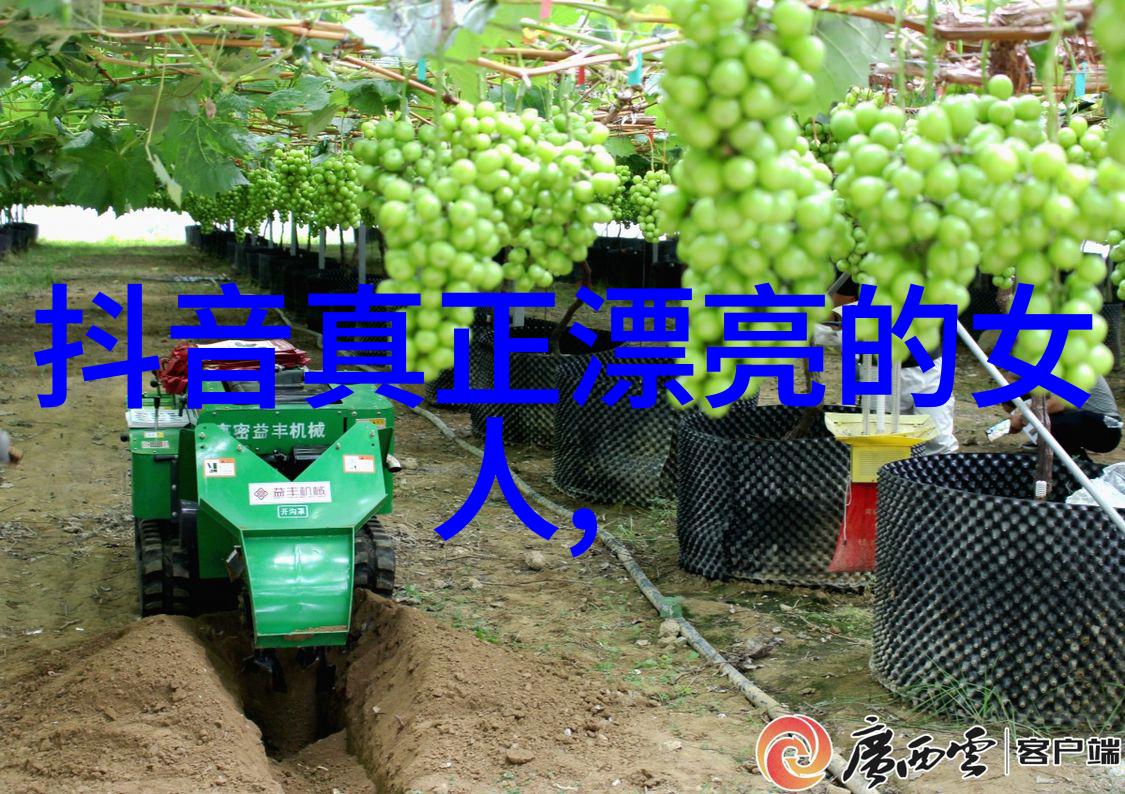 抖音十大神曲100首摇滚你的小视频打造网红自我
