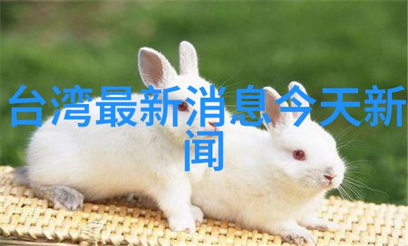 守护神英雄竞赛光与影的终极对决