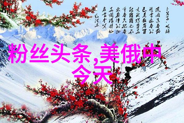uc头条拳霸对决冠军对冠军2郑姝音赵帅跆拳道大战武力值爆表