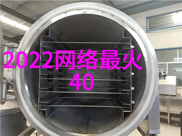 王洋的成功之路从梦想到现实