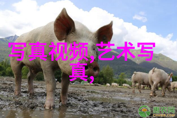 心理准备与身体训练一位娱乐圈演技帝的日常生活是什么样的