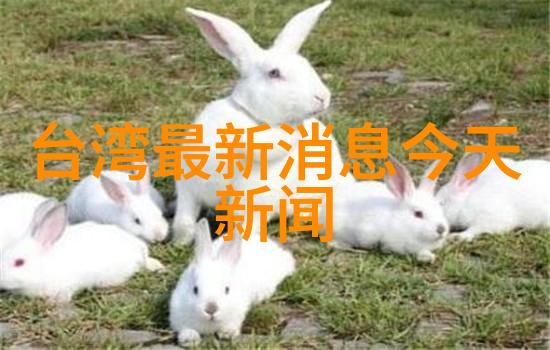 山水时尚酒店融合自然之美与现代时尚的温馨居所