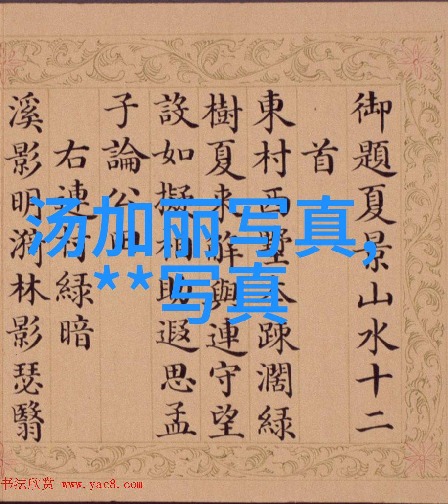 星光闪耀娱乐界新贵的崛起与消逝