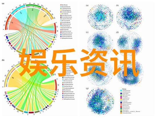 绿夜 电影张译万里归途夺冠票房161亿吴京之巅难企及