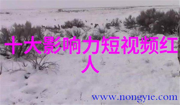 茶杯狐CUPFOX的创意之源在哪里
