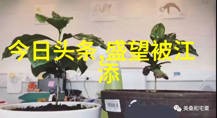 探索完美景色拍摄艺术的最佳角度