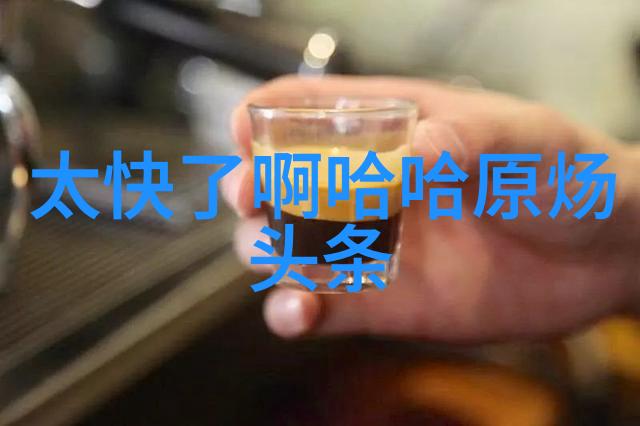 音乐的海洋300首免费旋律等你探索的脚步