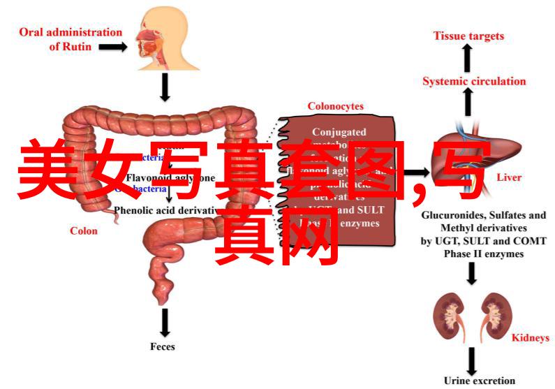 经典老歌100首目录-回忆里的旋律探索那些年流行的金曲