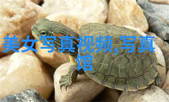 震动笔记朝俞坐着震动器写作业的创意头条文章