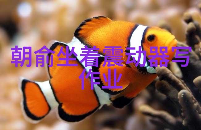 西瓜影视我在这里追剧的秘密基地