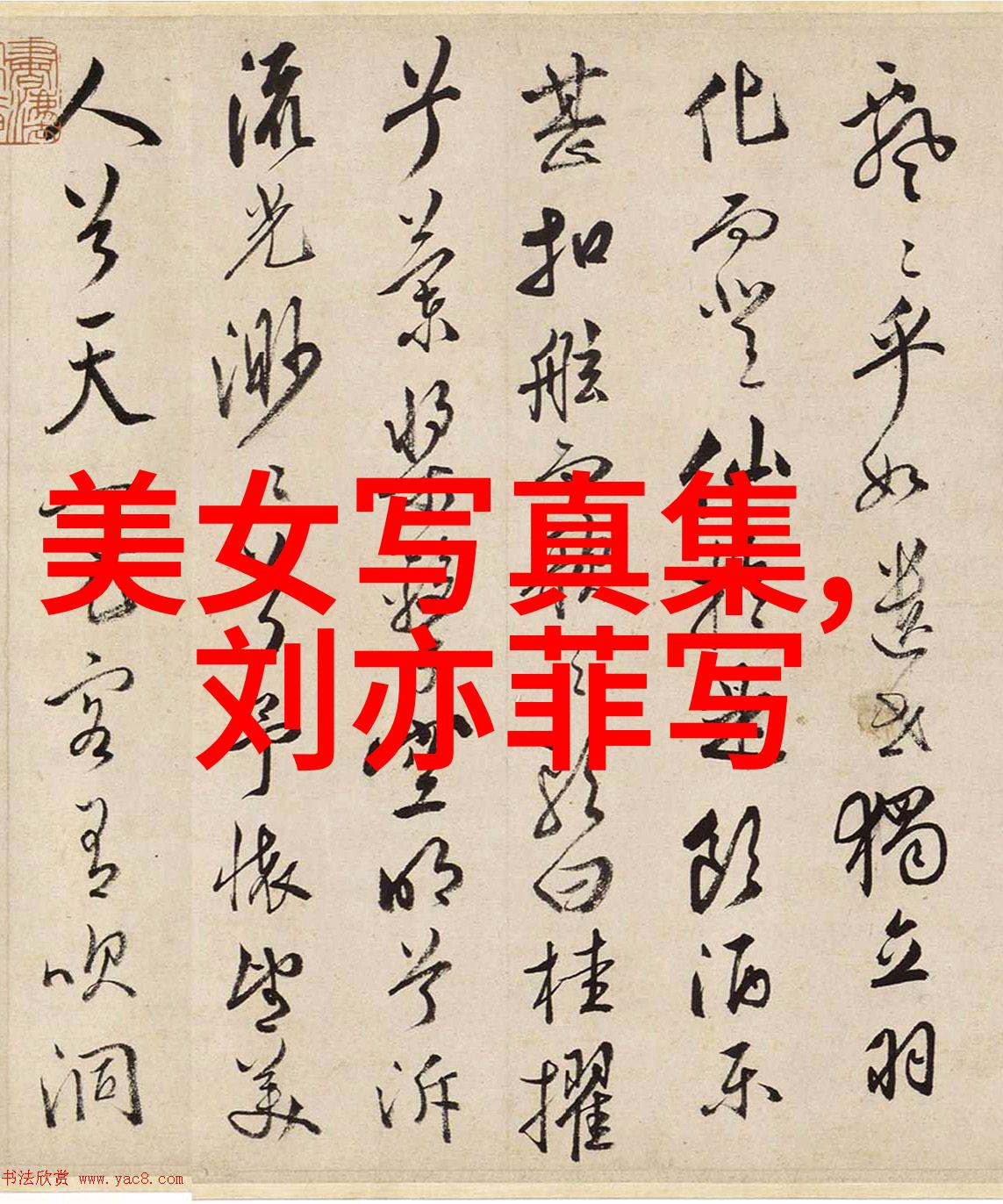 岁月静好怀旧金曲的悠扬回声