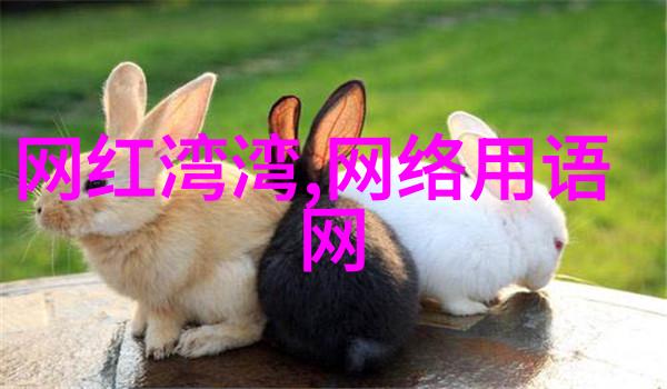 如果将现代科学知识融入到完整版的八卜学理论当中将带来哪些新的发现和思考