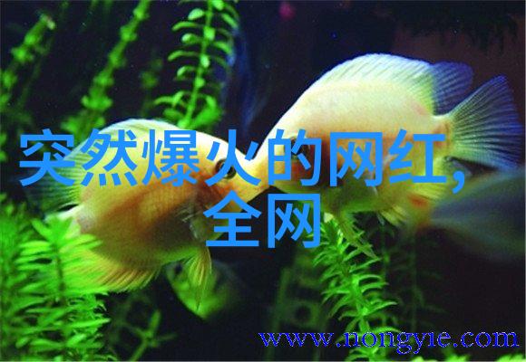 一面亲上边一面膜下边的精彩视频-双重奇遇亲密接触与神秘揭秘