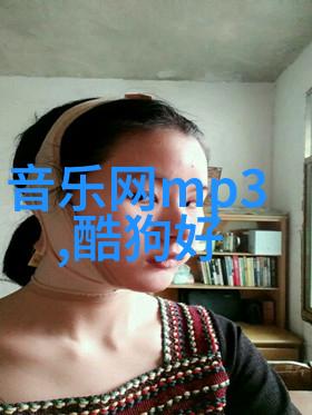 文化产业对抗盗版全网音乐免费下载神器的一种反思