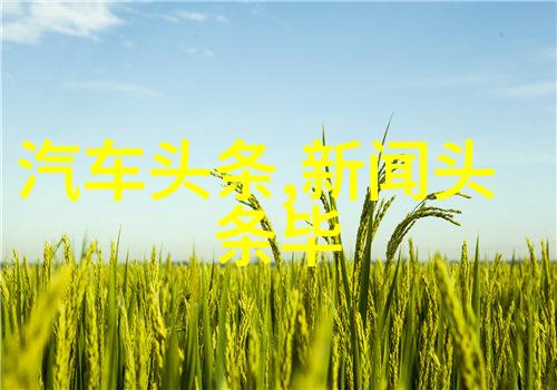 武则天秘史皇权之下隐秘的阴谋