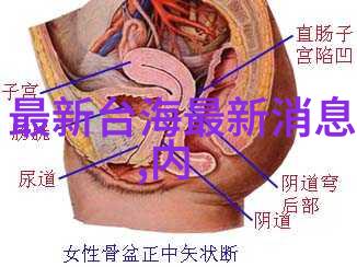 时代少年团综艺大秀青春正能量的舞台