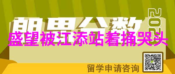 头条新闻与老年人阅读体验一项关于啊哈哈啊哈真棒啊大叔现象的调查研究