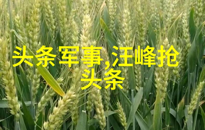 2023年抖音爆款图片展览捕捉时尚瞬间与生活美学