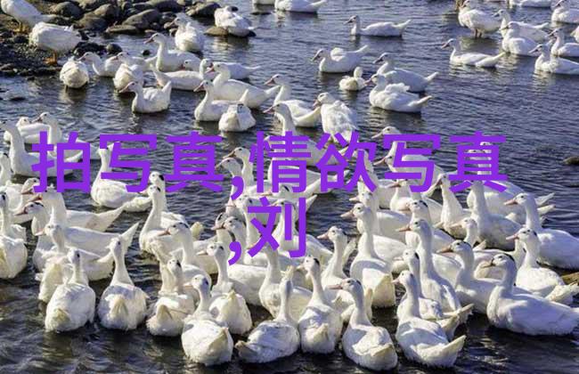 在镜头下成长C位出道者的成长轨迹分析