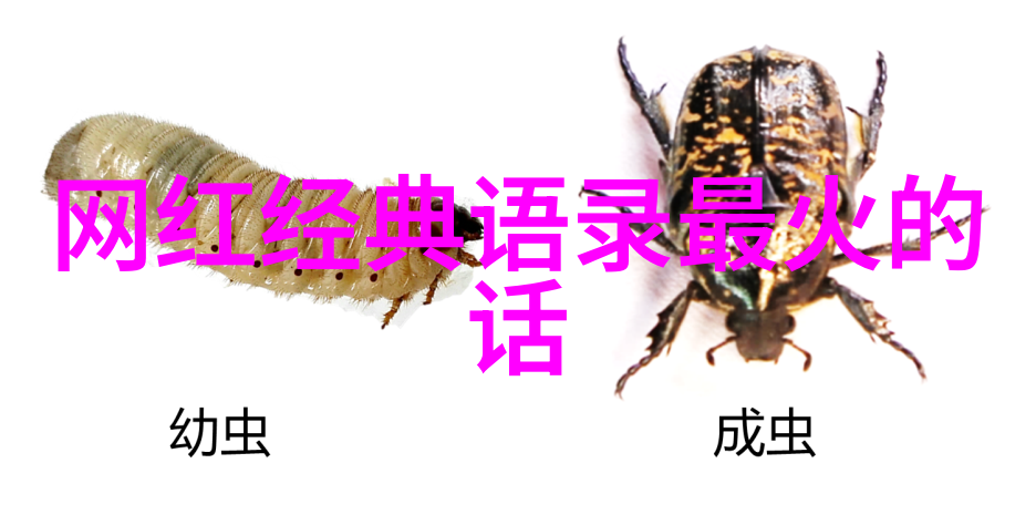 在拍摄艺术写真时应注意哪些细节