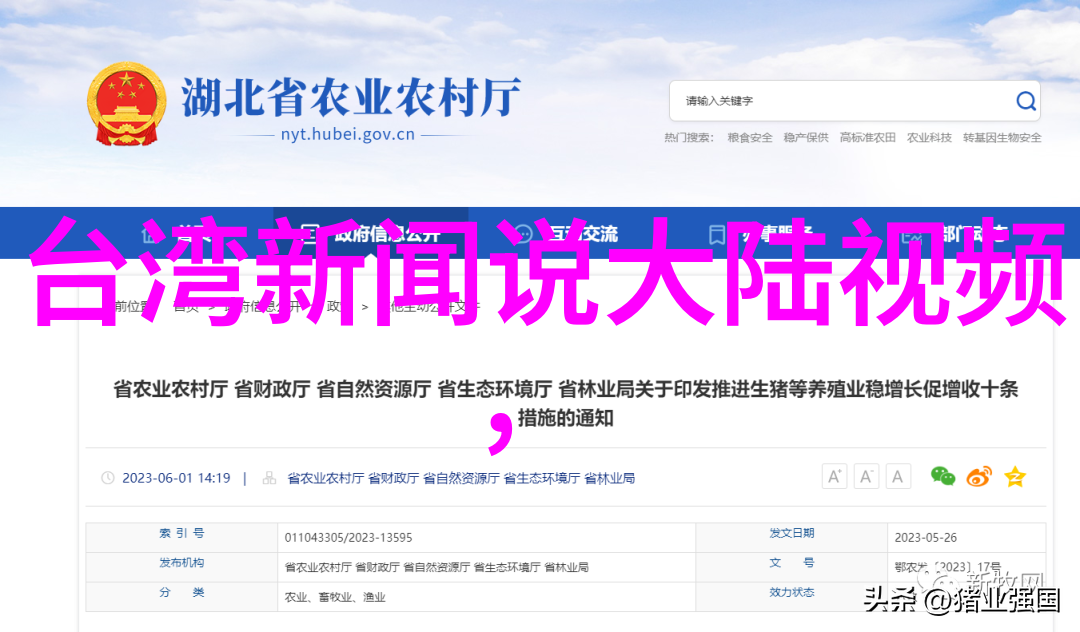 成人电影色情影视的边界与文化影响