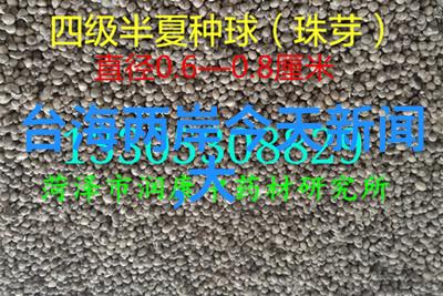 偷偷藏不住电视剧全集免费观看我都知道你想看的那些剧