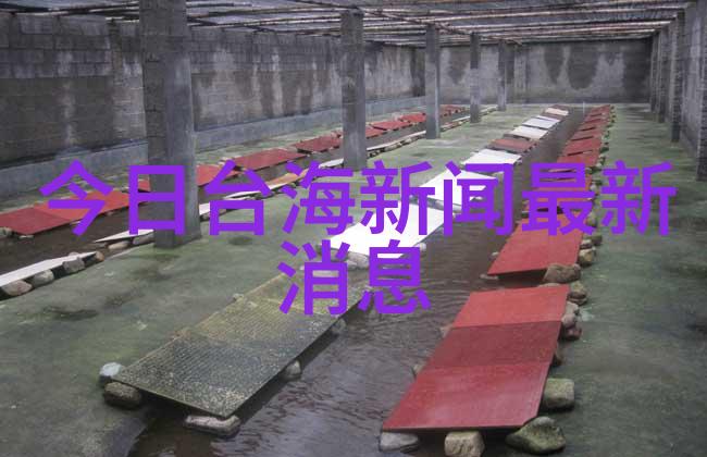 中俄关系新格局下的外交求助机制分析俄罗斯求助中国遭拒绝事件的深度影响