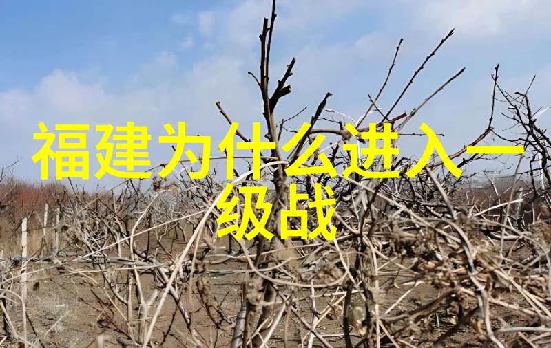 网红的专业称呼是什么黑洞King开挂事件后续被封号三年惩罚引发共鸣
