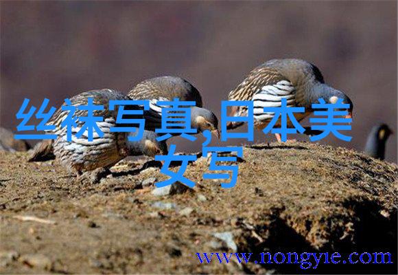 头条娱乐八卦揭秘明星们的真实生活他们是如何度过假期的