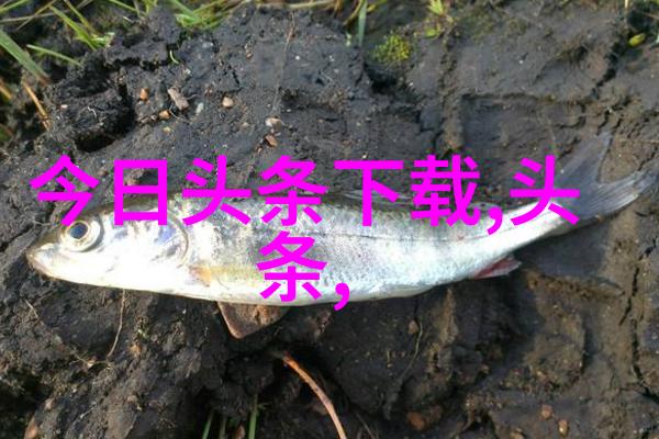 时尚传播中的干发喷雾爆炸的危害与无害并存