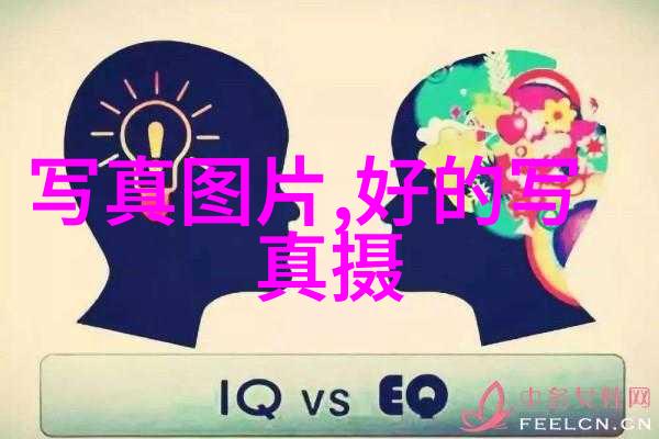 浪漫防线揭秘爱情保卫战综艺的魅力与挑战