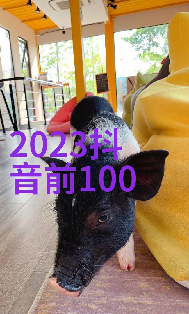 明星人设与现实之间的差距为什么我们总是无法抵抗其魅力