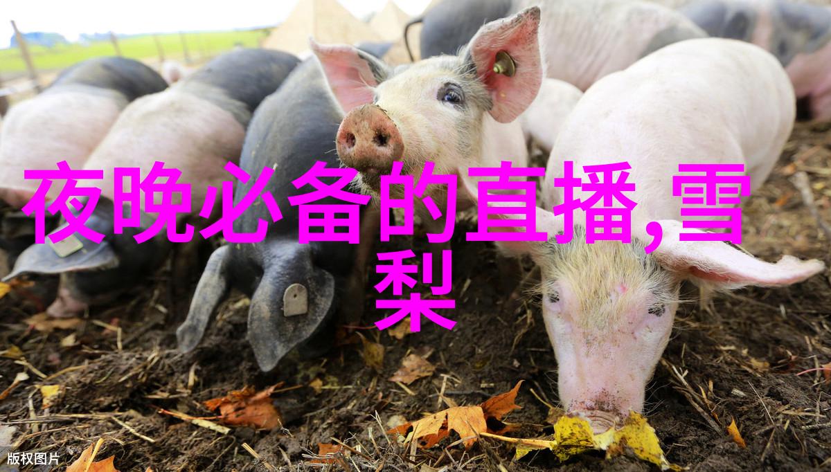 心灵慰藉-图片大全心情唯美抚慰灵魂的艺术之光