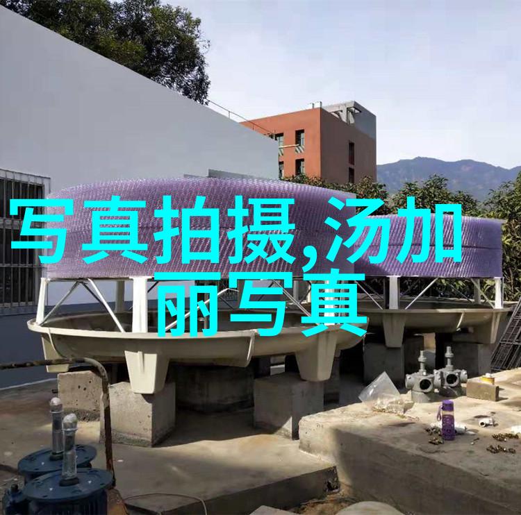 媒体如何平衡报道真相与传播八卦的需求