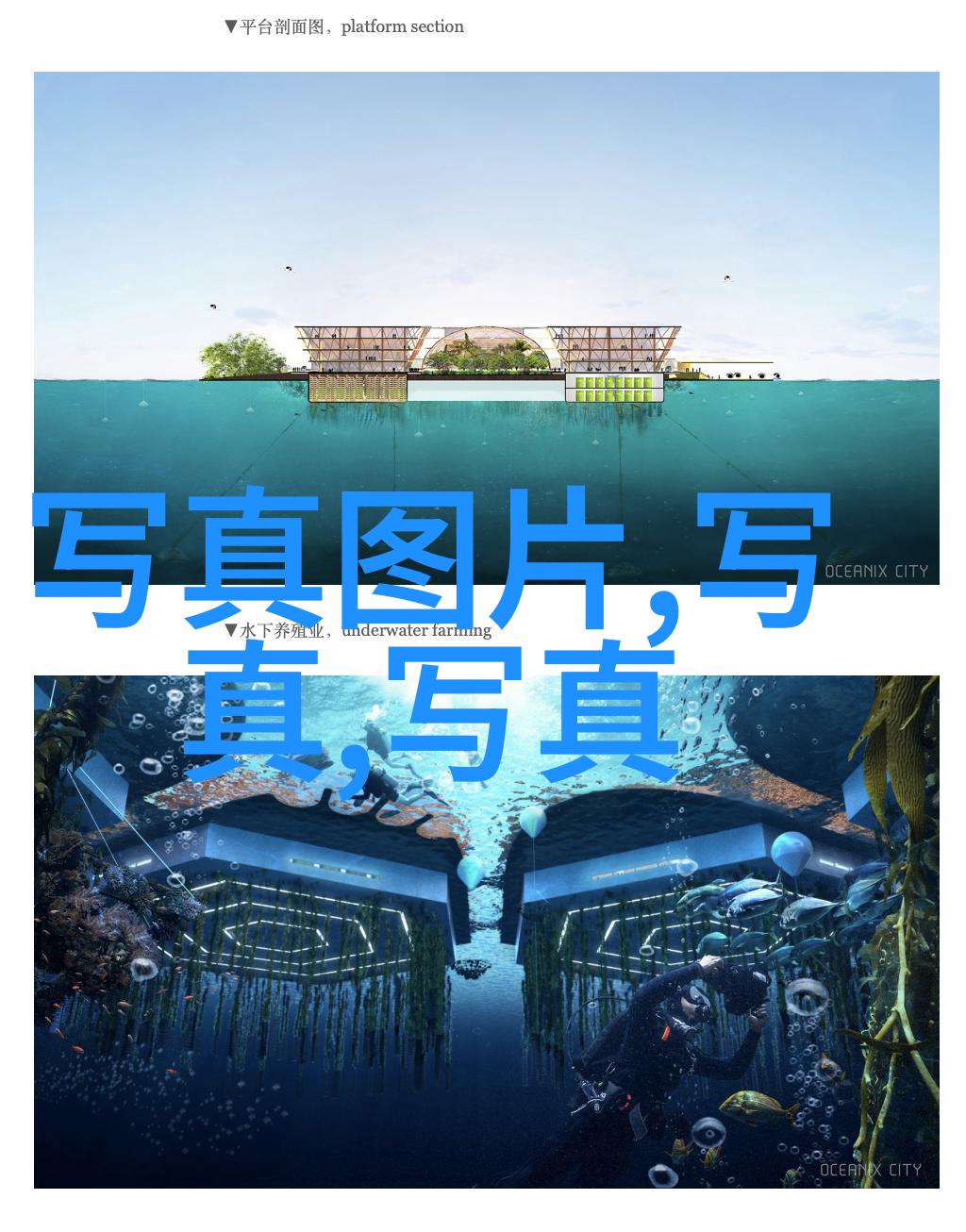 时尚女王的傲娇挑选高跟鞋的魅力与风格