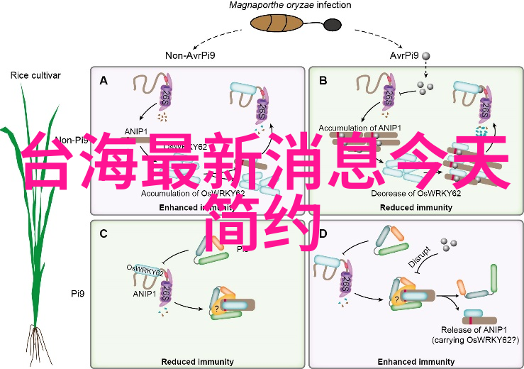天地间的仙女降临探索电视剧中的神话传说