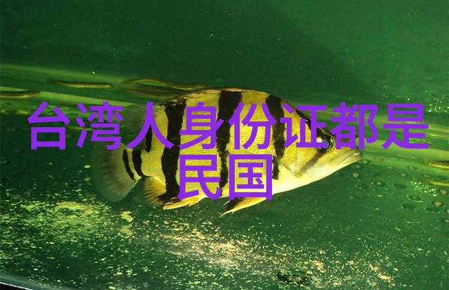南美安第斯山脉下的高原马铃薯王国玻利维亚与秘鲁比较研究