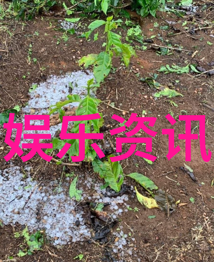 在制作数字写真集时我们应该注意哪些细节来保证画质