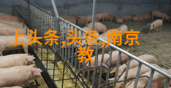 银幕上的奇迹热播影视世界的魅力探索