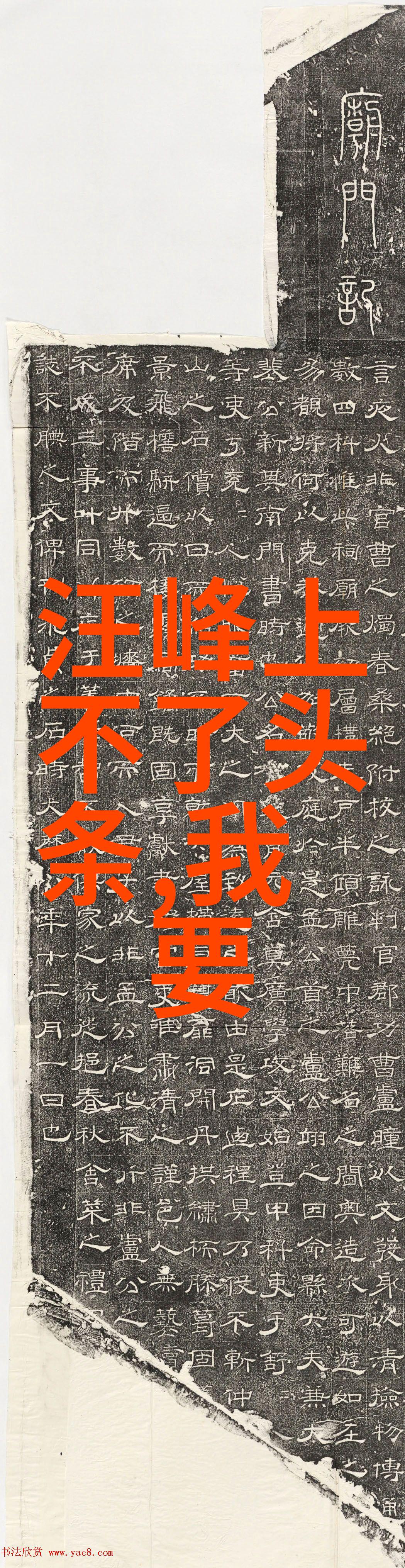 绽放的艺术写真中的美丽