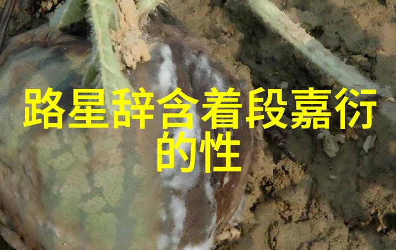 头条今日头条新闻我的生活被AI改变了从写作助手到职业威胁