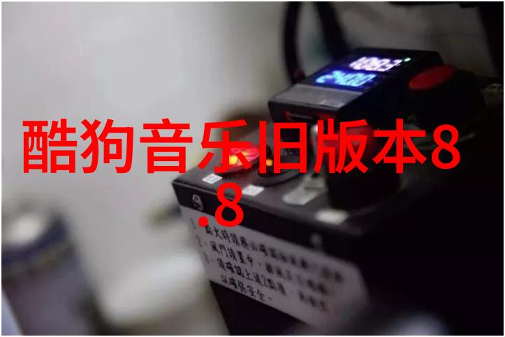 他们在结婚期间经历了哪些挑战