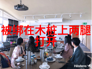 香蕉娱乐我是如何在香蕉岛上的乐园里遇见快乐的