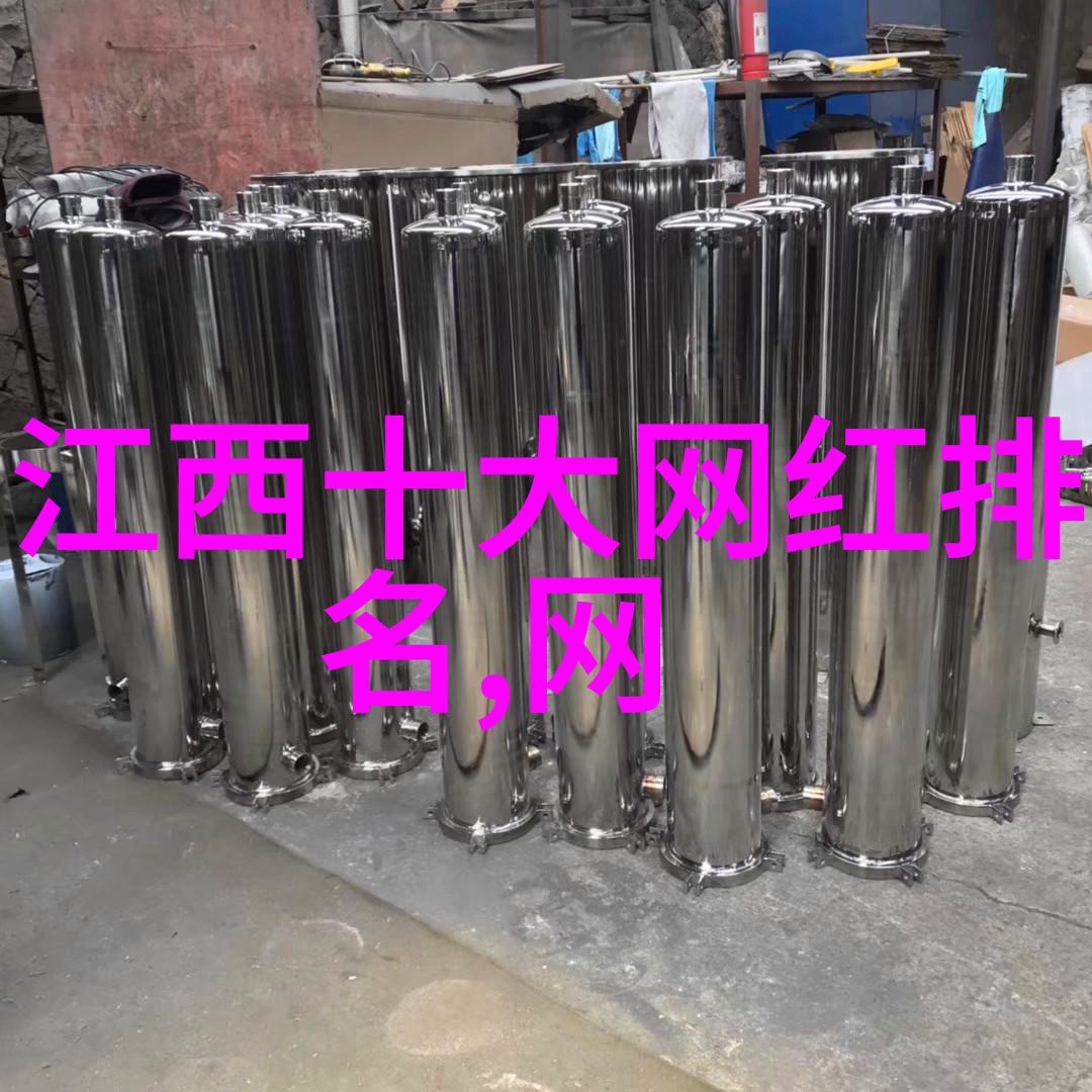 综艺明星背后的债务场外借钱的真相