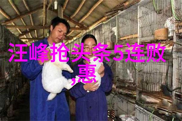 地素风格下的夏季穿搭技巧