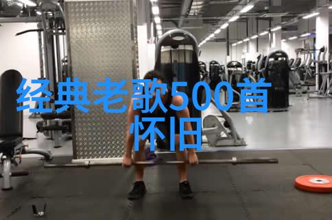 明星网带来的隐私问题及解决方案探讨