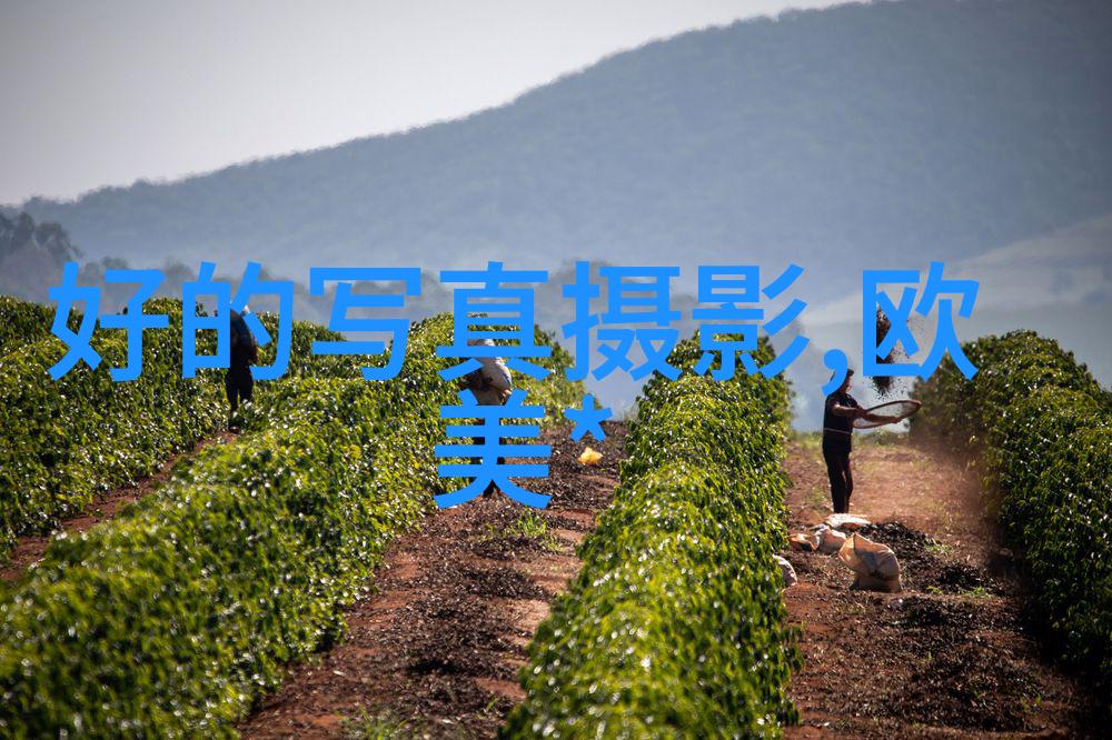 暗战电视剧中的政治阴谋与情报斗争