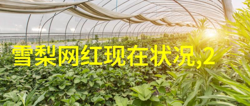 班长找了好几个人上我-班级集体对抗班长的不期而至的求助